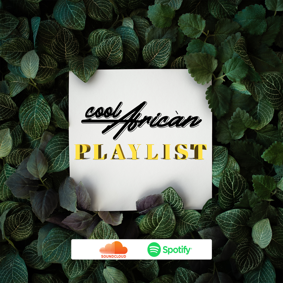 The CoolAfrican Playlist - Exclusively on SPOTIY